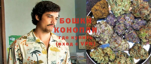 прущий лед Пересвет