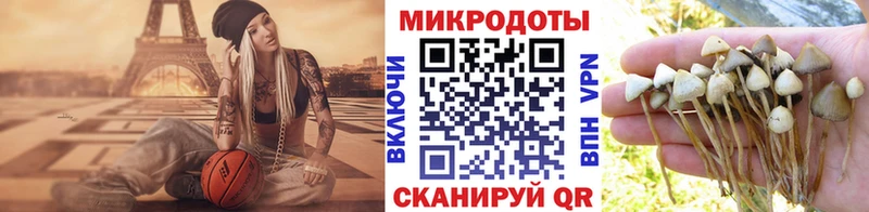 Галлюциногенные грибы Cubensis  Чусовой 
